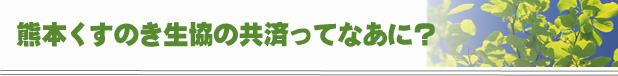 熊本くすのき生協の共済ってなあに?