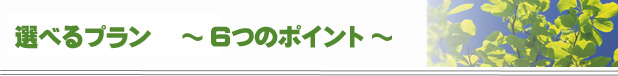 選べるプラン6つのポイント